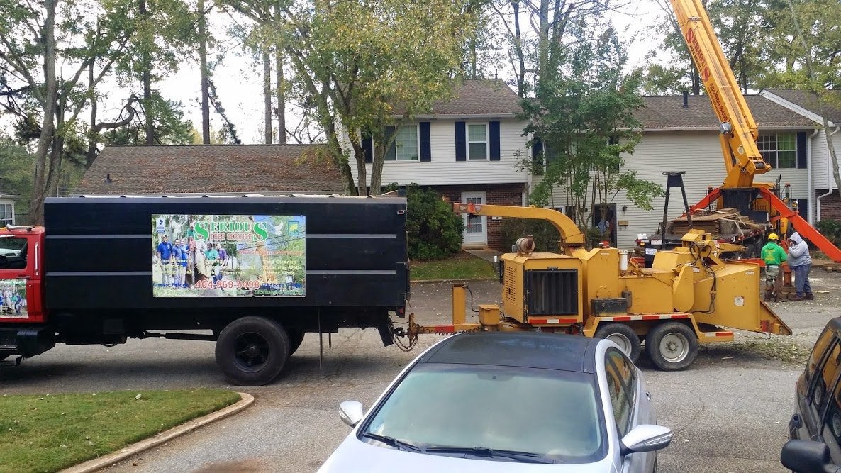 tree service near me